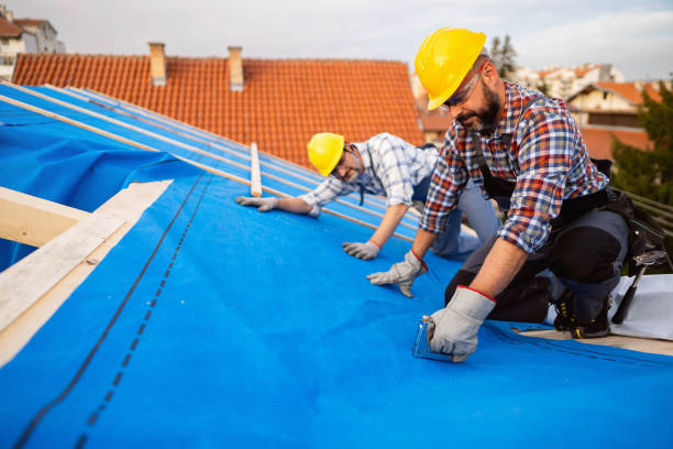 Best Storm Damage Roof Repair  in Keyser, WV