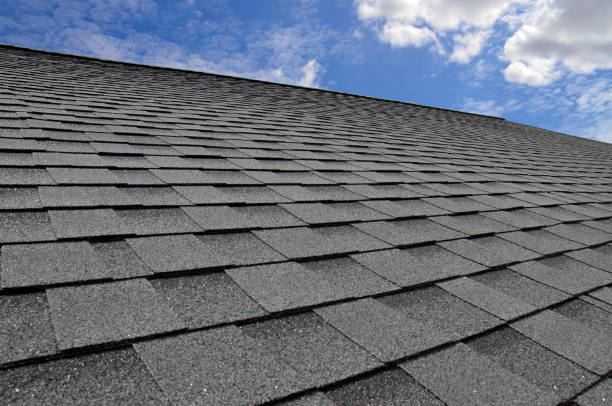 Best Storm Damage Roof Repair  in Keyser, WV