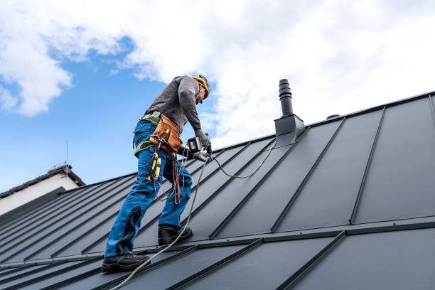 Best Roof Maintenance and Cleaning  in Keyser, WV